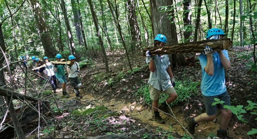 People wearing helmets and gloves carry logs through a wooded area. 